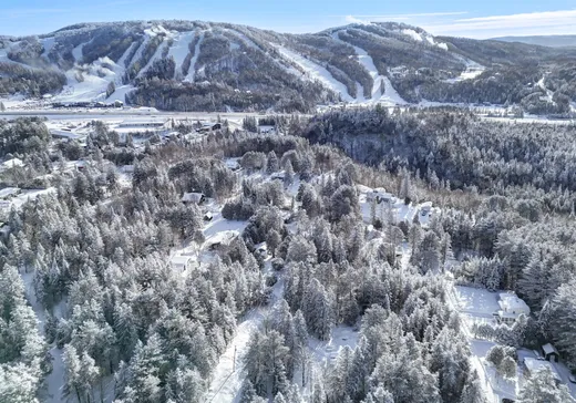 Maison à vendre - 726 Rue Sarrazin, Mont-Blanc, J0T 2G0