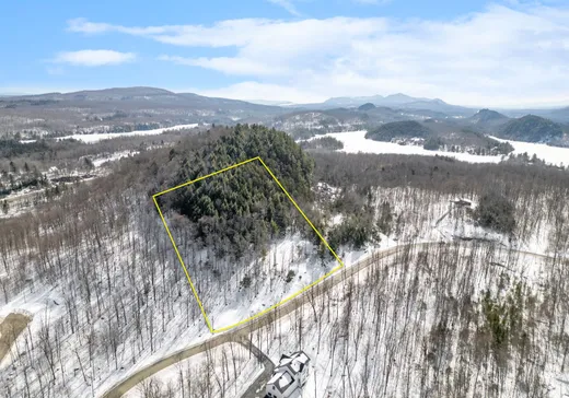 Maison à vendre - 152 Rue de la Serpentine, Bolton-Est, J0E 1G0