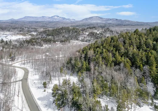 Maison à vendre - 152 Rue de la Serpentine, Bolton-Est, J0E 1G0