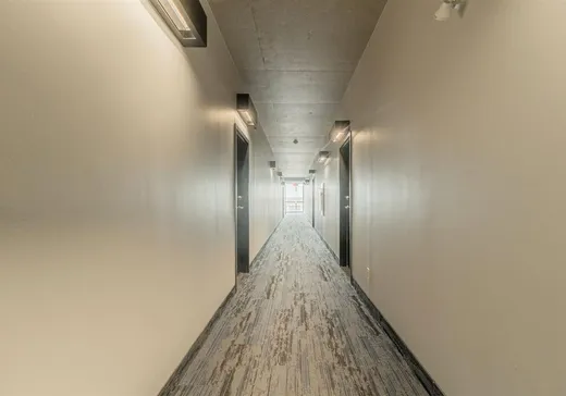 Condo for sale - 9835 Boul. Leduc, App. 303, Montreal (Downtown), J4Y 0K8