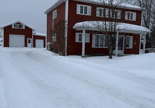 Two or more stories for sale - 60 Rue Laprise, St-Fulgence, G0T1Y0