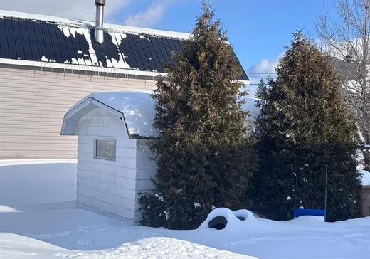 Maison à vendre - 268 Rue Viger, Saint-Épiphane, G0L 2X0