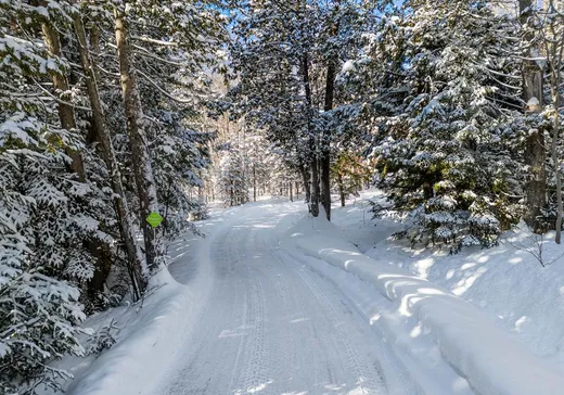 House for sale - 525 Rue des Cyprès, Sainte-Adèle, J8B 0A2