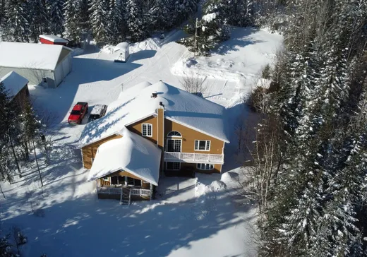 Maison à vendre - 70 Ch. Baie-William O., Lac-Edouard, G0X 3N0