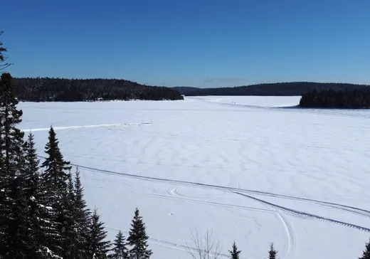Maison à vendre - 70 Ch. Baie-William O., Lac-Edouard, G0X 3N0