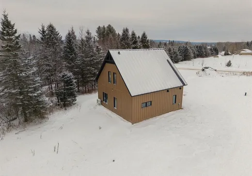 Maison à vendre - 720 Rue des Pionniers, Weedon, J0B 3J0