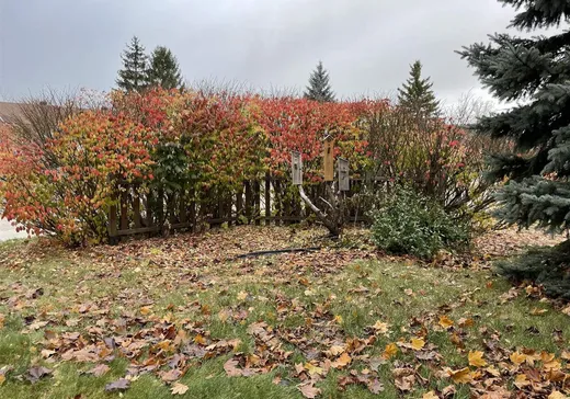 Maison à vendre - 336 Rue de Dorval, Gatineau, J8P 3M3