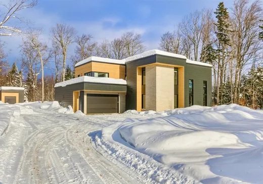 Maison à étages à vendre - 1607 Ch. Lucien-Lefrançois, L'Ange-Gardien, G0A2K0