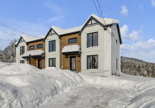 Two or more stories for sale - 165 Rue des Matricaires, Sainte-Brigitte-de-Laval, G0A3K0