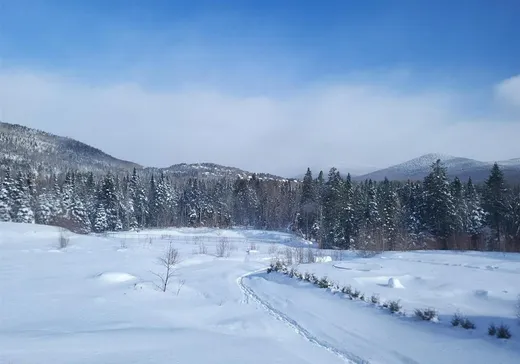 House for sale - 165 Rue des Matricaires, Sainte-Brigitte-de-Laval, G0A 3K0