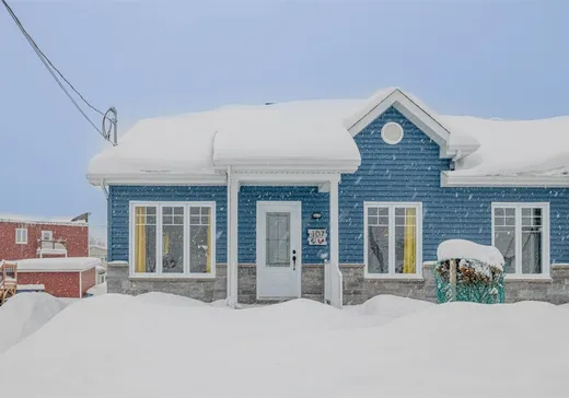 Maison à vendre - 107 Rue Savard, Saint-Basile, G0A 3G0