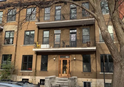 Condo à vendre - 4837 Rue Hutchison 5, Mont-Royal (Île de Montréal), H2V 4A4