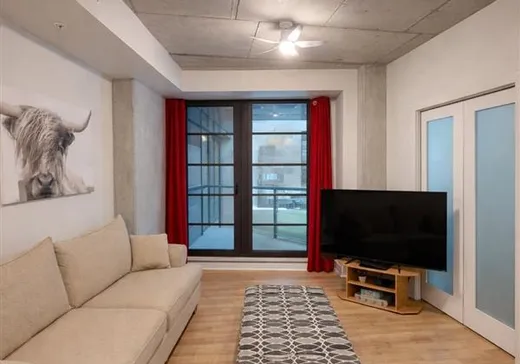 Condo à vendre - 1320 Rue Olier, App. 209, Montréal (Centreville), H3C0Y8