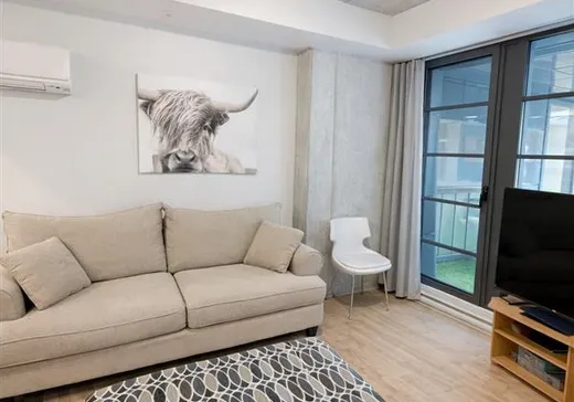 Condo à vendre - 1320 Rue Olier, App. 209, Montréal (Centreville), H3C 0Y8