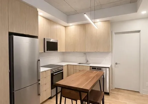 Condo à vendre - 1320 Rue Olier, App. 209, Montréal (Centreville), H3C 0Y8