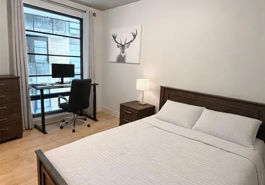 Condo à vendre - 1320 Rue Olier, App. 209, Montréal (Centreville), H3C 0Y8