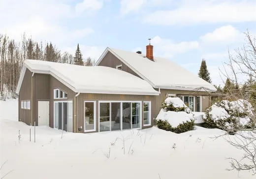 Two or more stories for sale - 20 Mtée Lemay, St-Alexis-Des-Monts, J0K1V0