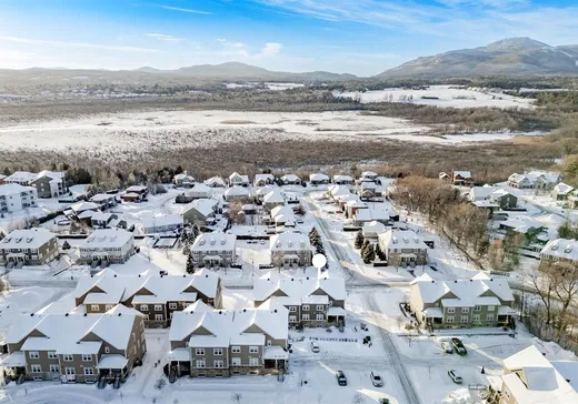 Condo à vendre - 1234 Rue du Bruant-des-Marais, Magog, J1X 7S5