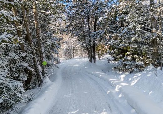 Maison à vendre - 525 Rue des Cyprès, Sainte-Adèle, J8B 0A2