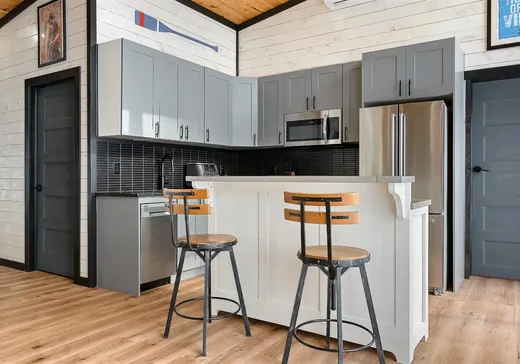 House for sale - 121 Av. Paradise, Mansfield-et-Pontefract, J0X 1R0