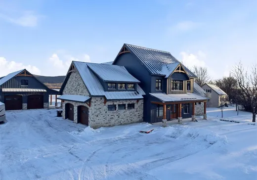 Maison à étages à vendre - 342 Rg du Cordon, St-Damase, J0H1J0