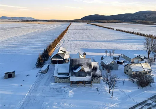 Maison à vendre - 342 Rg du Cordon, St-Damase, J0H 1J0