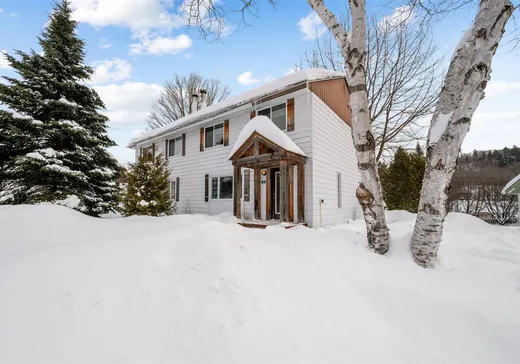 Maison à étages à vendre - 35 Crois. Ravel, St-Adolphe d'Howard, J0T2B0