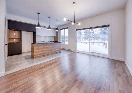 Maison à vendre - 29 Rue Robert-Laplante, Sainte-Catherine-de-la-Jacques-Cartier, G3N 3G5