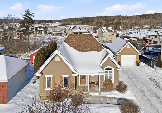 Maison à vendre - 885 Rue Philippe-Gaumond, Fleurimont, J1E 0A4
