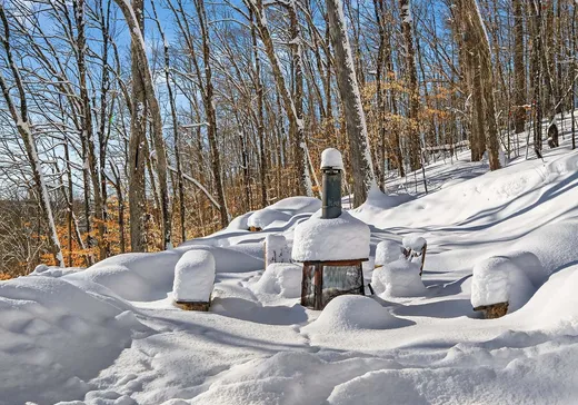 Maison à vendre - 144 Ch. des Aigles, Nominingue, J0W 1R0