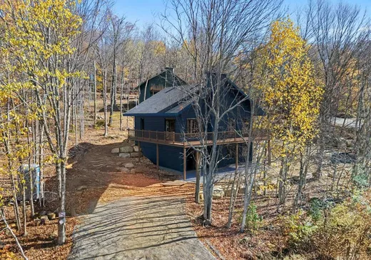 Maison à étages à vendre - 125 Rue Paulsen, Sainte-Agathe-des-Monts, J8C0X1