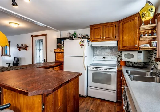 Maison à vendre - 881 Ch. du Lac-à-la-Pêche, St-Mathieu-Du-Parc, G0X 1N0