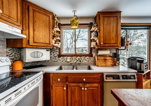 Maison à vendre - 881 Ch. du Lac-à-la-Pêche, St-Mathieu-Du-Parc, G0X 1N0