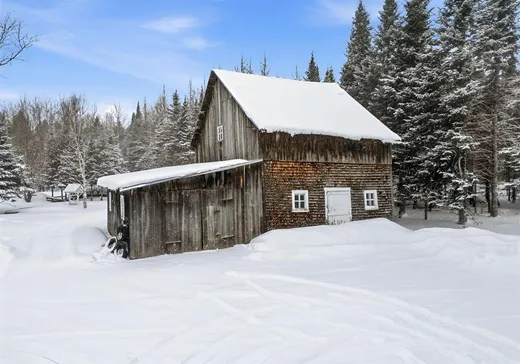 House for sale - 3195 50e Rue, Saint-Prosper-de-Dorchester, G0M 1Y0