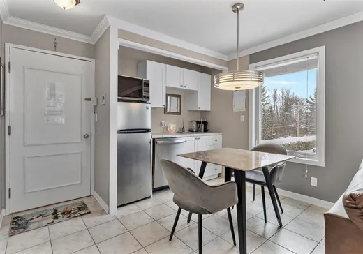 Condo à vendre - 261 Rue Merry S., App. SR-203, Magog, J1X 3L2