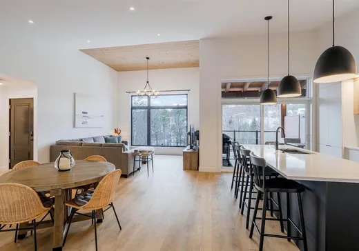 Condo à vendre - 2620 Ch. du Parc, App. 3300, Magog, J1X7A2