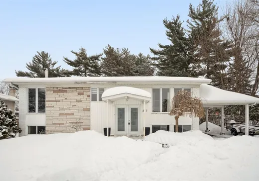 Maison à vendre - 211 Rue Lequin, Massueville, J3P 2V1