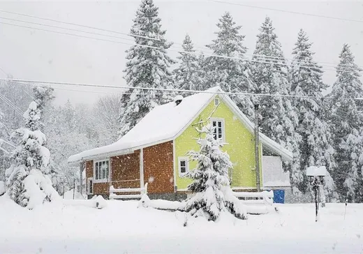 Maison à vendre - 101 Ch. Alary, St-Remi-D'Amherst, J0T 2L0