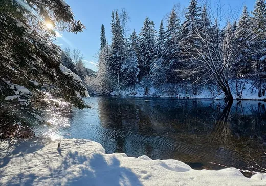 Maison à vendre - 101 Ch. Alary, St-Remi-D'Amherst, J0T 2L0