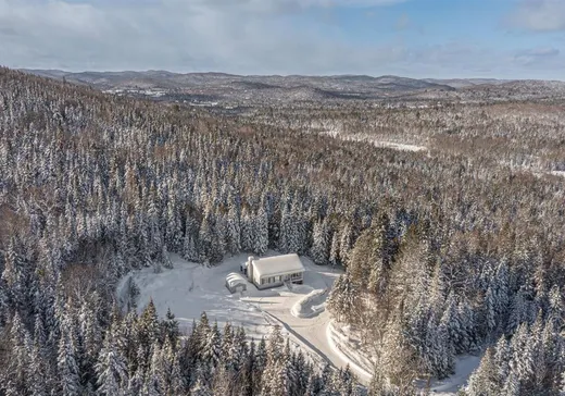 Maison à vendre - 8500 Ch. Ladouceur, Sainte-Agathe-des-Monts, J8C 3S1