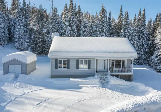 Maison à vendre - 8500 Ch. Ladouceur, Sainte-Agathe-des-Monts, J8C 3S1