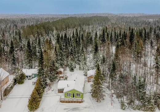 Maison à vendre - 1021 Ch. du Lac-du-Castor, Notre-Dame-de-Montauban, G0X 1W0