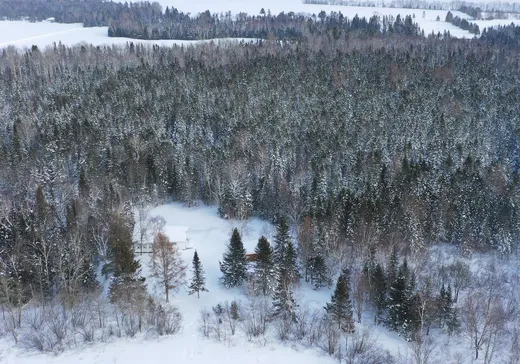 Maison à vendre - 1025 Ch. de l'Aubépine, Nominingue, J0W 1R0