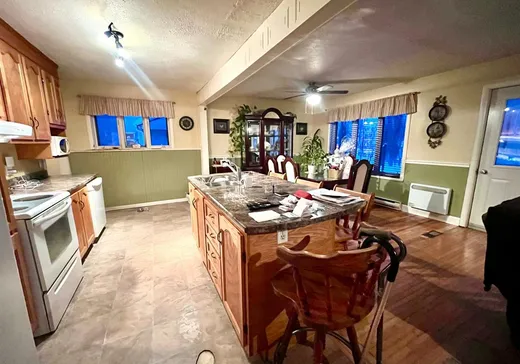 Maison à vendre - 214 Rue St-Edmond, Asbestos, J1T 2A1