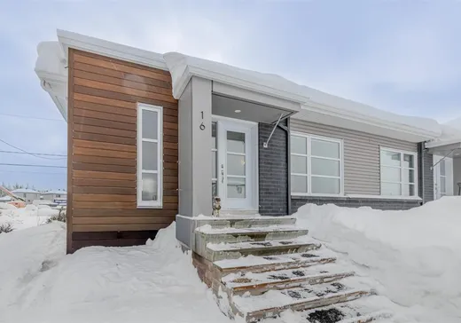Maison à vendre - 16 Rue Aimé-Robitaille, Ste-Catherine-De-La-J-Cartier, G3N 3G3