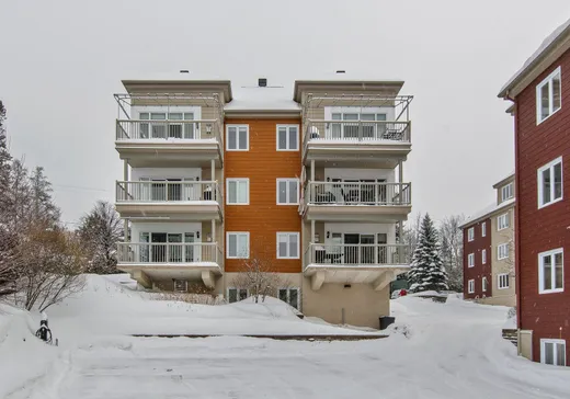 Condo à vendre - 50 Ch. du Tour-du-Lac, Sainte-Agathe-des-Monts, J8C 1A8
