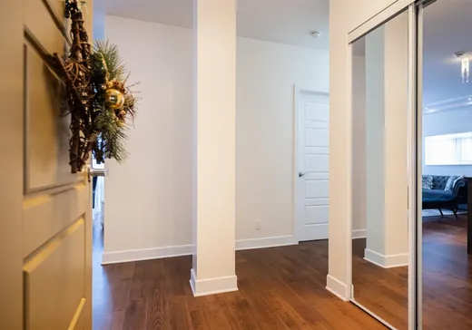 Condo à vendre - 346 Rue Laurier, App. 308, Laval (Laval-des-Rapides), H7N 2N6