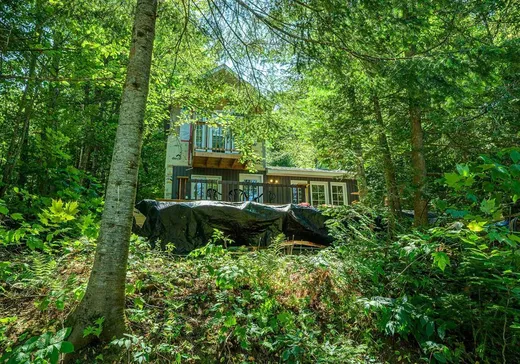 Maison à vendre - 67 Ch. du Geai-Bleu N., St-Adolphe d'Howard, J0T 2B0