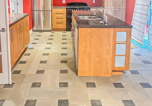 Maison à vendre - 4369 Boul. Décarie, Montréal (Centreville), H4A 3K4