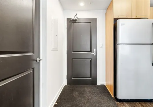 Condo à vendre - 1248 Av. de l'Hôtel-de-Ville, App. 503, Montréal (Ville-Marie), H2X 0B2